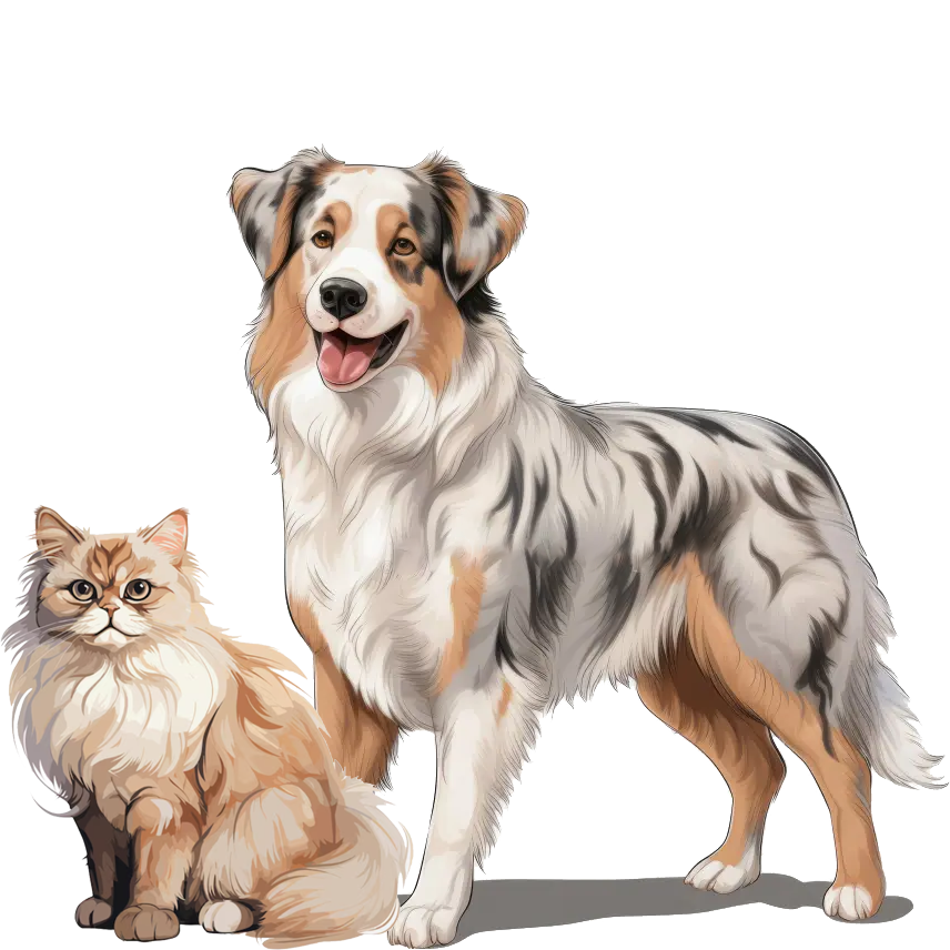Treino de cães de raça potencialmente perigosa